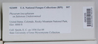 Image Associated With the Occurence